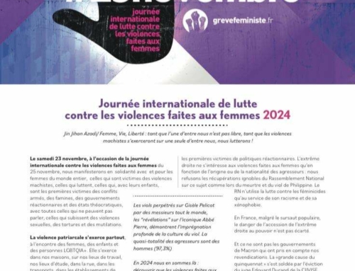 Dans la rue le 23 novembre contre les violences faites aux femmes!