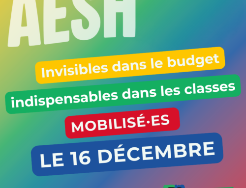 Mardi 16 décembre : Pour un véritable statut de catégorie B ! mobilisé·es pour défendre les droits des AESH